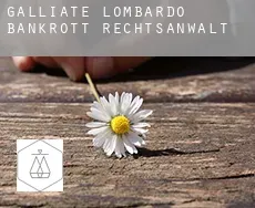 Galliate Lombardo  bankrott rechtsanwalt