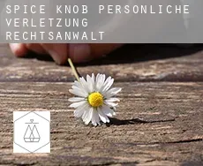 Spice Knob  persönliche verletzung rechtsanwalt