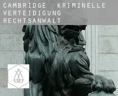 Cambridge kriminelle verteidigung rechtsanwalt