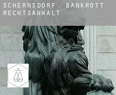 Schernsdorf  bankrott rechtsanwalt