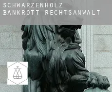 Schwarzenholz  bankrott rechtsanwalt