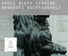 Shell Bluff Landing bankrott rechtsanwalt