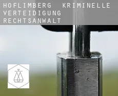 Hoflimberg  kriminelle verteidigung rechtsanwalt