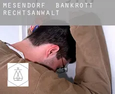 Mesendorf  bankrott rechtsanwalt