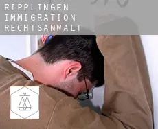 Ripplingen  immigration rechtsanwalt