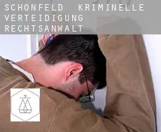 Schönfeld  kriminelle verteidigung rechtsanwalt