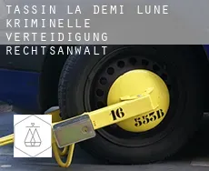 Tassin-la-Demi-Lune  kriminelle verteidigung rechtsanwalt