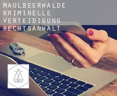 Maulbeerwalde  kriminelle verteidigung rechtsanwalt