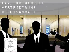 Fay kriminelle verteidigung rechtsanwalt