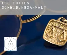 Los Cuates  Scheidungsanwalt