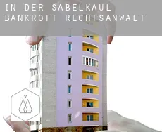 In der Sabelkaul  bankrott rechtsanwalt