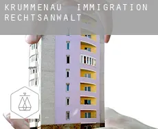 Krummenau  immigration rechtsanwalt