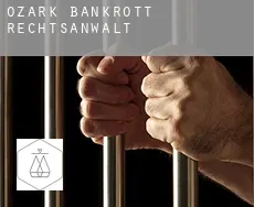Ozark  bankrott rechtsanwalt