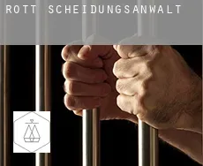 Rott  Scheidungsanwalt
