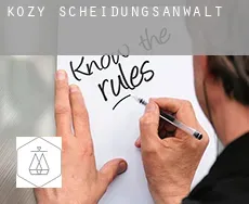 Kozy Scheidungsanwalt