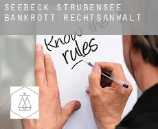 Seebeck-Strubensee  bankrott rechtsanwalt