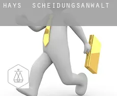 Hays Scheidungsanwalt