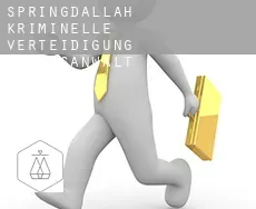 Springdallah  kriminelle verteidigung rechtsanwalt