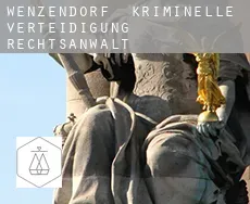 Wenzendorf  kriminelle verteidigung rechtsanwalt