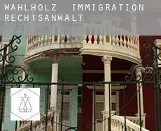 Wahlholz  immigration rechtsanwalt