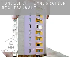 Töngeshof  immigration rechtsanwalt