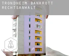 Trondheim  bankrott rechtsanwalt