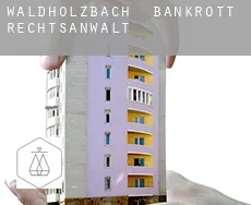 Waldhölzbach  bankrott rechtsanwalt