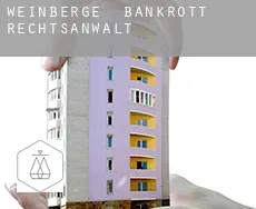 Weinberge  bankrott rechtsanwalt