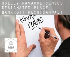 Holley Navarre  bankrott rechtsanwalt