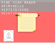 Pine View Manor  kriminelle verteidigung rechtsanwalt