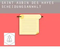 Saint-Aubin-des-Hayes  Scheidungsanwalt