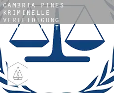 Cambria Pines kriminelle verteidigung rechtsanwalt