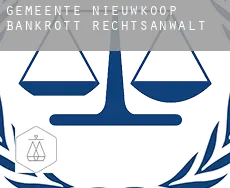 Gemeente Nieuwkoop bankrott rechtsanwalt