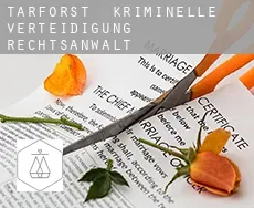 Tarforst  kriminelle verteidigung rechtsanwalt