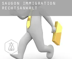 Saugon immigration rechtsanwalt