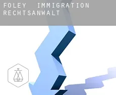 Foley  immigration rechtsanwalt