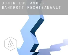 Junín de los Andes  bankrott rechtsanwalt