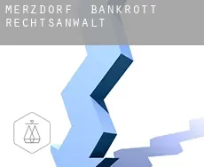 Merzdorf  bankrott rechtsanwalt