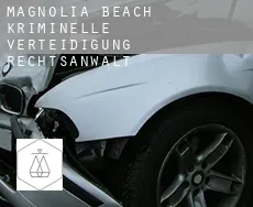 Magnolia Beach  kriminelle verteidigung rechtsanwalt