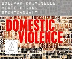 Bolivar  kriminelle verteidigung rechtsanwalt